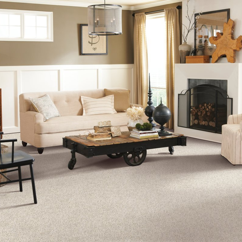 Living room with comfy carpet -  Restful Style-Catalina